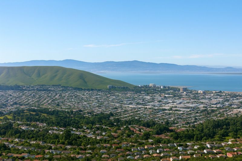 Apple Tree Removal in South San Francisco, CA