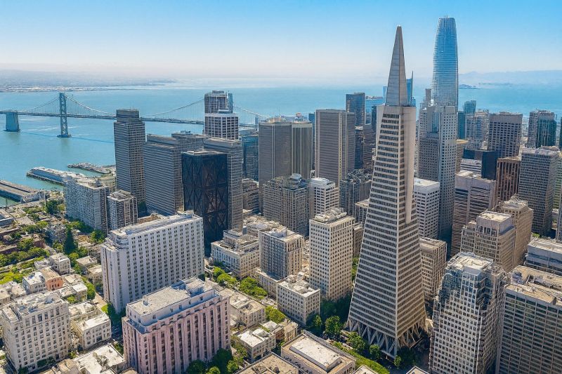 Apple Tree Removal in San Francisco County, CA