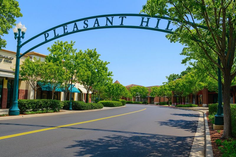 Tree Removal Service in Pleasant Hill, CA