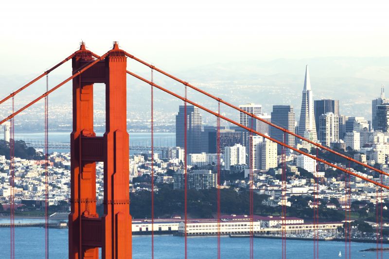 Tree Removal Service in San Francisco, CA