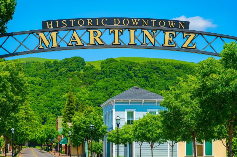 Tree Removal Service in Martinez, CA