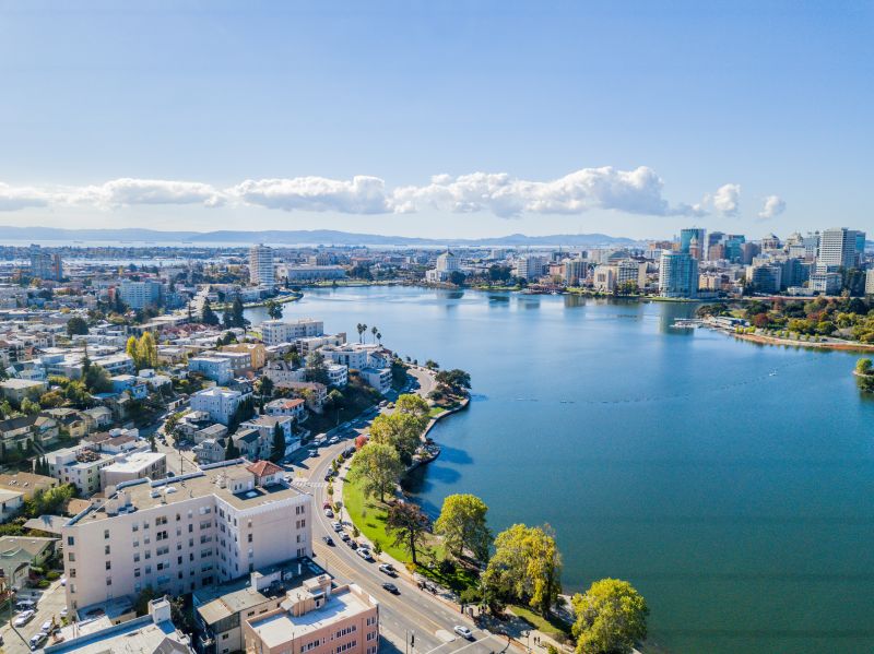 Tree Removal Service in Oakland, CA