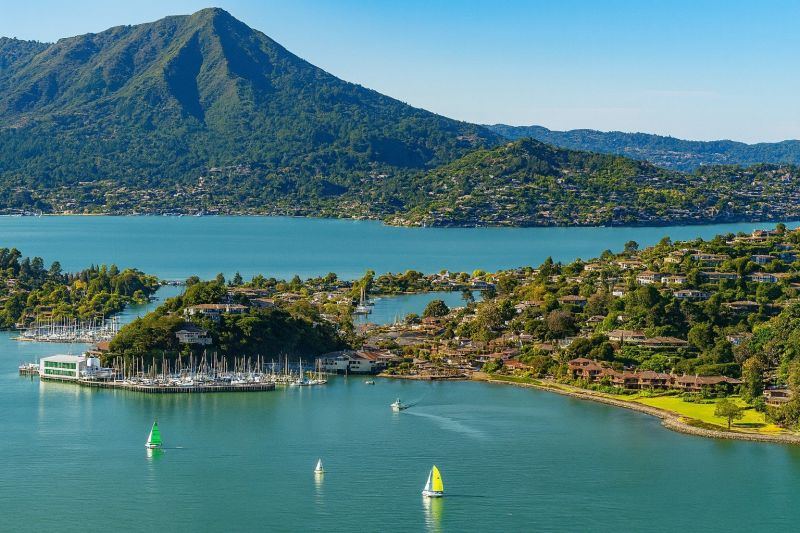 Tree Removal Service in Belvedere Tiburon, CA