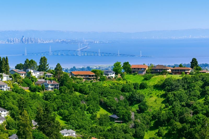 Tree Removal Service in San Mateo County, CA