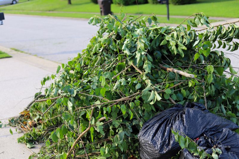 Dogwood Tree Removal