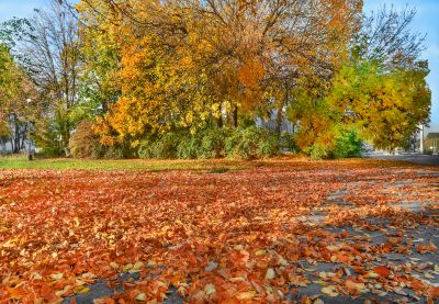 Clean Landscape