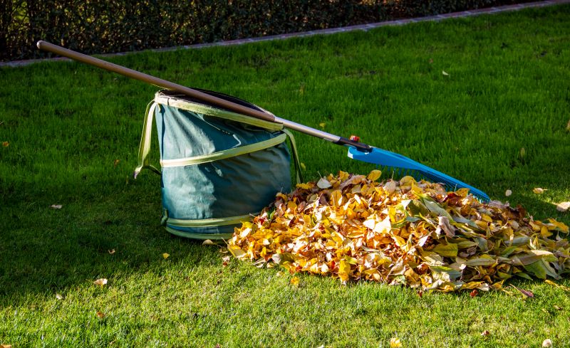 Piles of Collected Leaves