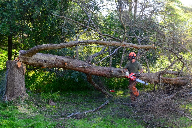 Tree Cutting Equipment