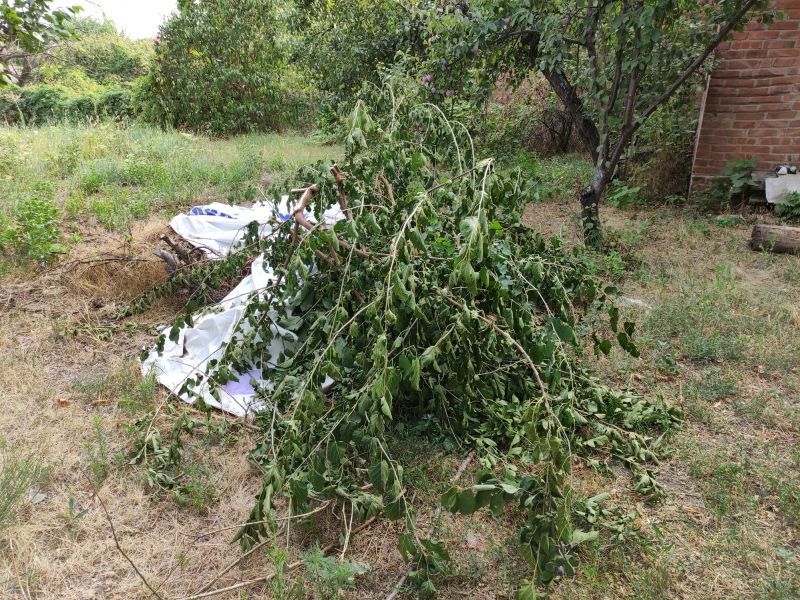 Debris Clearing
