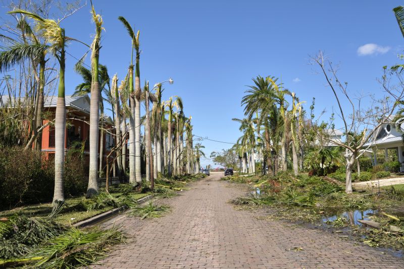 Storm Damage Scene
