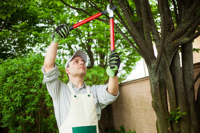 Expert Tree Assessment